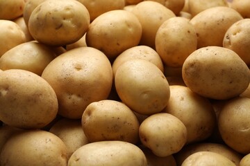 Fresh raw potatoes as background, closeup view