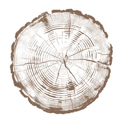 Vector illustration of tree trunk cross section with annual rings and natural cracks, detailed wood texture for forestry, ecology, growth, nature and environmental design concepts