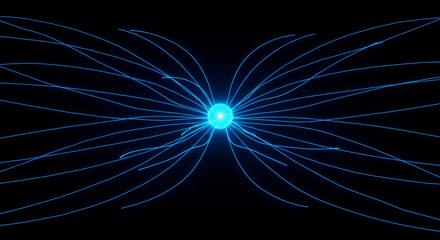 3D Visualization of Electric Field Lines Radiating from Point Charge