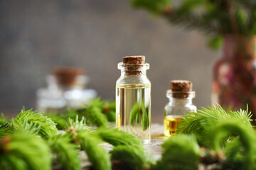 Bottles of aromatherapy essential oil with fresh young spruce branches in spring