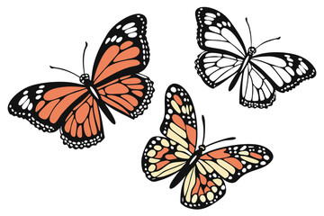 Fototapeta premium Collection of colorful vector butterflies isolated on white background