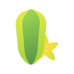 Carambola Vector Illustration