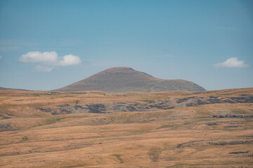 desert landscape in the desert