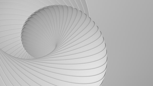 Light gray spiral shape.