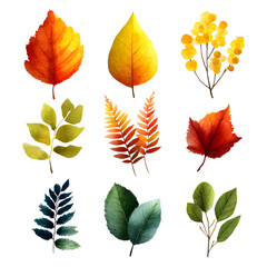 Obraz premium Beautiful autumn leaves watercolor set, great design for any purposes. botanical background.