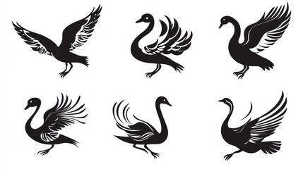 Obraz premium Six stylized black swans and a bird, design elements, white background, graphic design