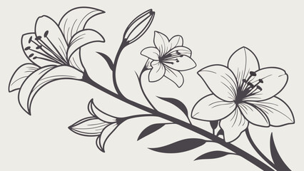 Elegant black and white lily flowers on a branch. Beautiful floral outline drawing for spring nature design and decoration.