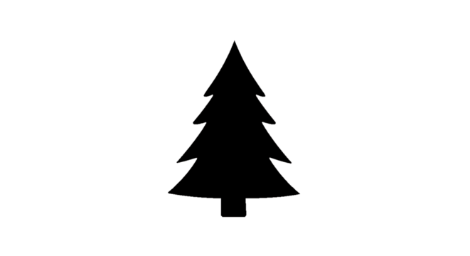 Black silhouette of a pine tree isolated on transparent background