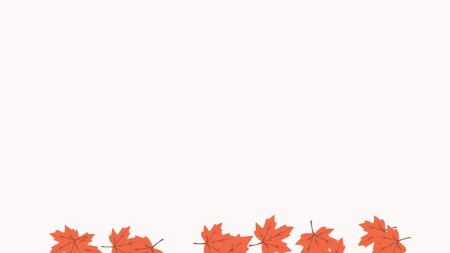  Animated falling maple leaf Flat vector illustration of scattered orange maple leaves on a light background, representing autumn and seasonal nature design.4k , alpha channel