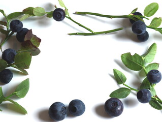 Finnish blueberries with copyspace