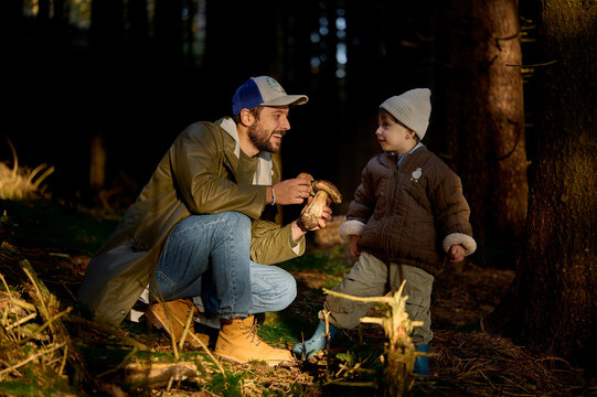 Father and son foraging for wild mushrooms