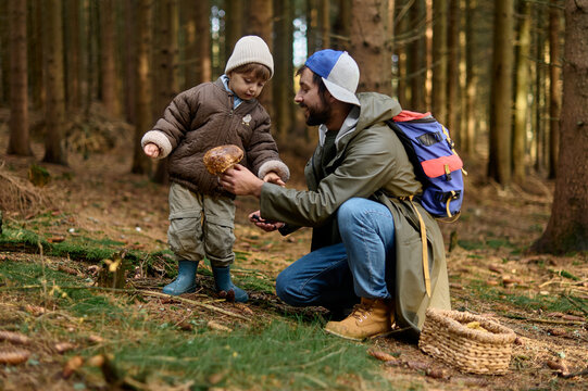Joyful mushroom discovery in the forest