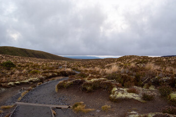 Winding Path Through Rugged Landscape Under Cloudy Sky