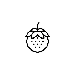 A indian-gooseberry fruits icon line art vector illustration.