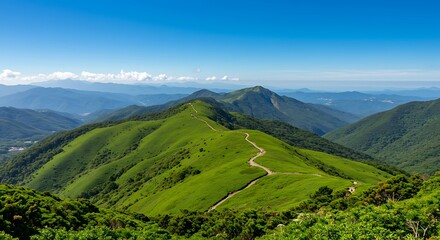 Obraz premium One scenic view of Yangmingshan National Park in Taiwan with lush greenery