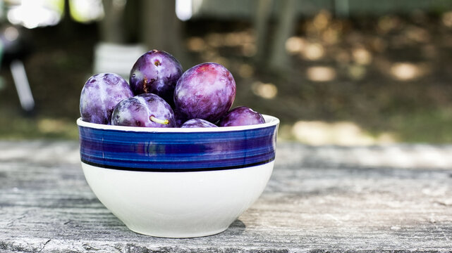 Freshly harvested plums in a blue and white bowl on a wooden table outdoors in the summer