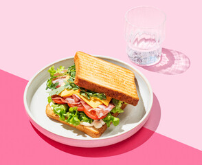 Club sandwich of toast bread with bacon, cheese, tomatoes, lettuce, arugula and sauce in a plate