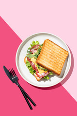 Club sandwich of toast bread with bacon, cheese, tomatoes, lettuce, arugula and sauce in a plate