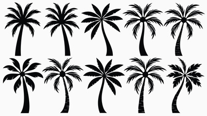 Fototapeta premium Adobe Illustrator ABlack Palm Tree Silhouette Vector Set with Detailed Leaves and Trunks for Tropical, Beach, Island, Summer, and Vacation Design Elements in Exotic Nature Clipart Stylertwork