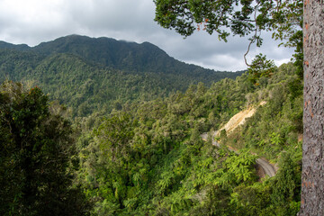 Winding Road Through Lush Green Mountains
