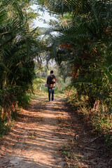 Obraz premium man walking in the woods