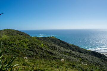 Fototapeta premium Scenic Coastal View with Lush Green Hills