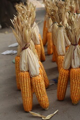 street vendor selling corn