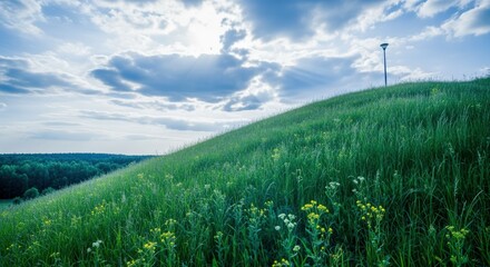 Fototapeta premium Lush Green Hillside Under a Cloudy Sky: Capturing Nature's Beauty and Tranquility