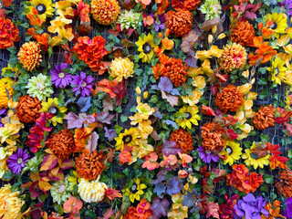 A breathtaking and stunning display of vibrant, colorful autumn flowers arranged creatively on a wall