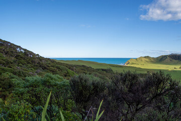 Lush Green Landscape with Ocean View