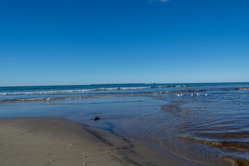 Serene Beach Scene with Gentle Waves and Seagulls
