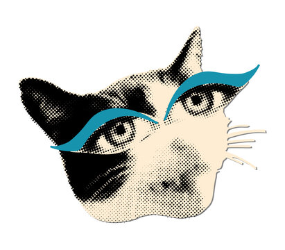 Trendy funny grunge element for collage. Halftone cat with human female eyes and blue makeup. Modern retro vector illustration for mixed media design isolated on transparent background