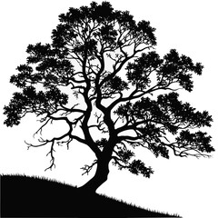 Tree silhouette vector
