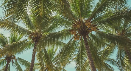 Looking up at a canopy of tropical palm trees against a clear sky, vintage travel aesthetic