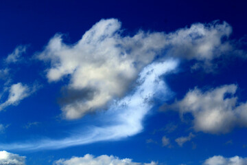 Cumulus Clouds on a blue sky