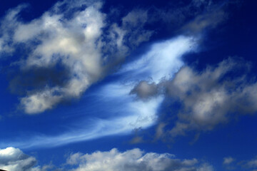 Cumulus Clouds on a blue sky