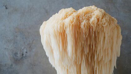 Detailed studio shot of a fresh Lion's Mane mushroom against grey background