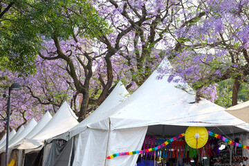  Art Market Under Jacaranda Trees