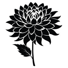 Elegant black and white chrysanthemum silhouette design