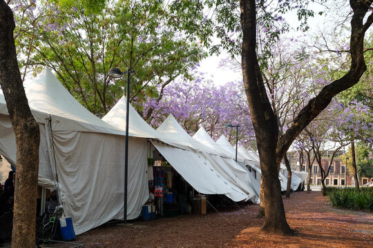 Quiet Festival Tents in the Park