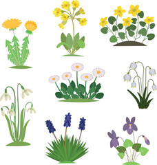 Botanical set with cartoon spring flowers isolated on white background.