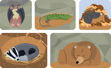 Set of european animals sleeping in winter in their burrow. Vector illustration isolated on white background.