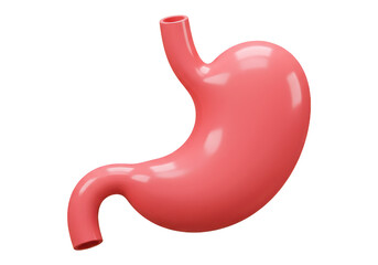 Anatomical rendering of a human stomach organ in pink color against a plain dark setting view on transparent background
