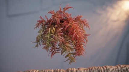 Hanging Red and Green Foliage Plant with Sunbeams image