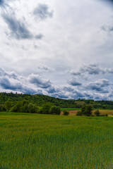 Fototapeta premium Field, forest, clouds