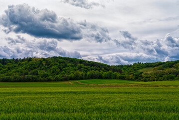 Hills and forest beyond the fields