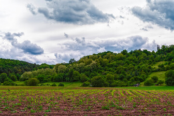 Obraz premium Plowed field and forest on a hill