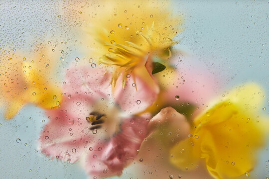 Wet spring bouquet behind textured plastic film