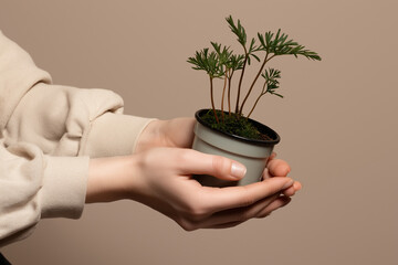 Holding out, Gifting a Plant 