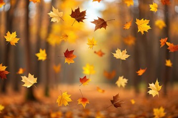 Autumn leaves falling in a forest path with golden sunlight